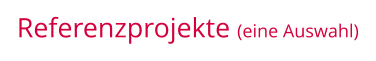 Referenzprojekte (eine Auswahl)